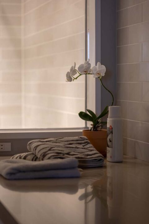 マンションリノベーション、FILE(ファイル)、胡蝶蘭、タイル壁、ホテルライク