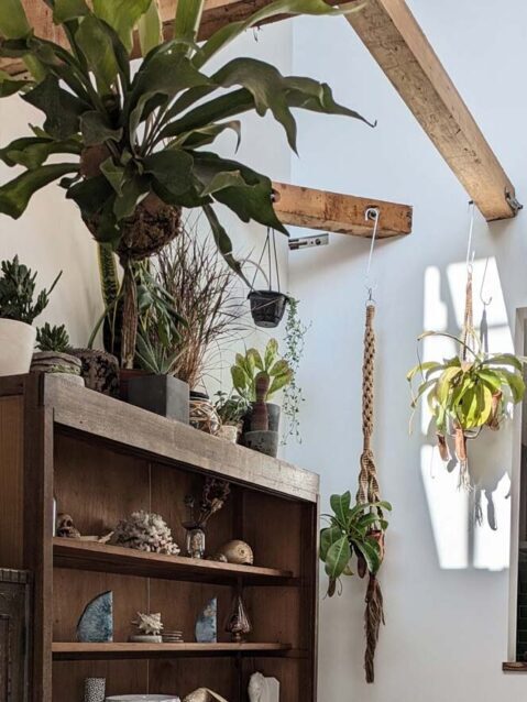 戸建てリノベーション、アズ建設、ヴィンテージ家具、観葉植物、ナチュラル