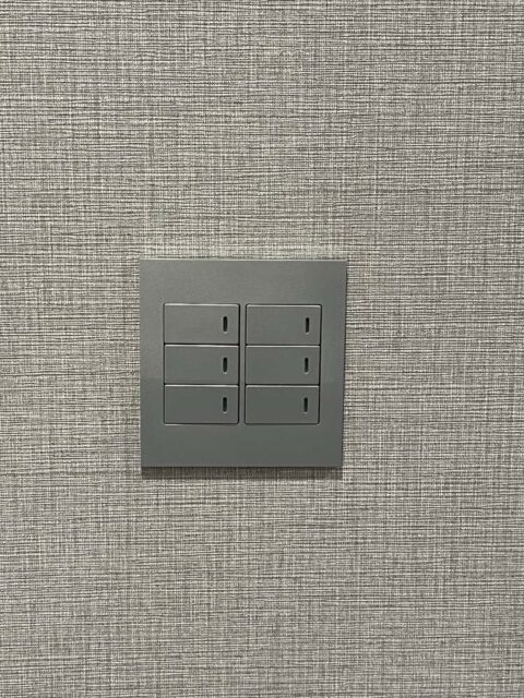 マンションリノベーション、リノベーション東京、スイッチ、グレー