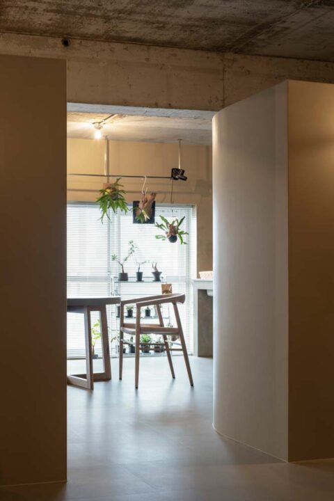 マンションリノベーション、ハコリノベ、日当たり、観葉植物、ハンギング