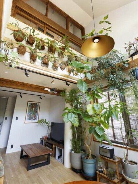 戸建リノベーション、スタイル工房、吹き抜け、シダ植物