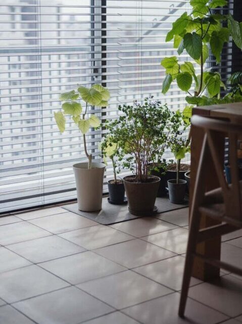 マンションリノベーション、アズ建設、テラコッタ、撥水加工、観葉植物