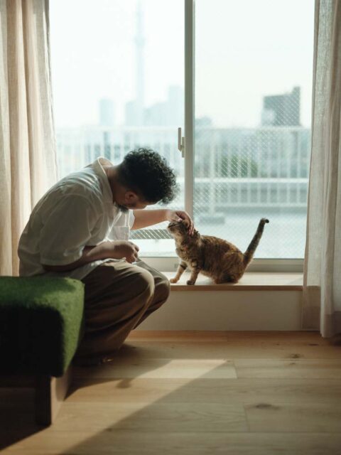 マンションリノベーション、(株)KITI、ルーフバルコニー、眺望、猫