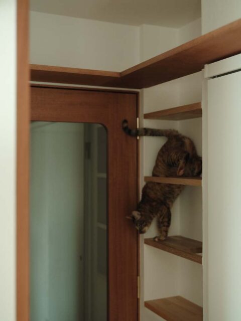 マンションリノベーション、(株)KITI、キャットウォーク、キャットステップ、収納棚